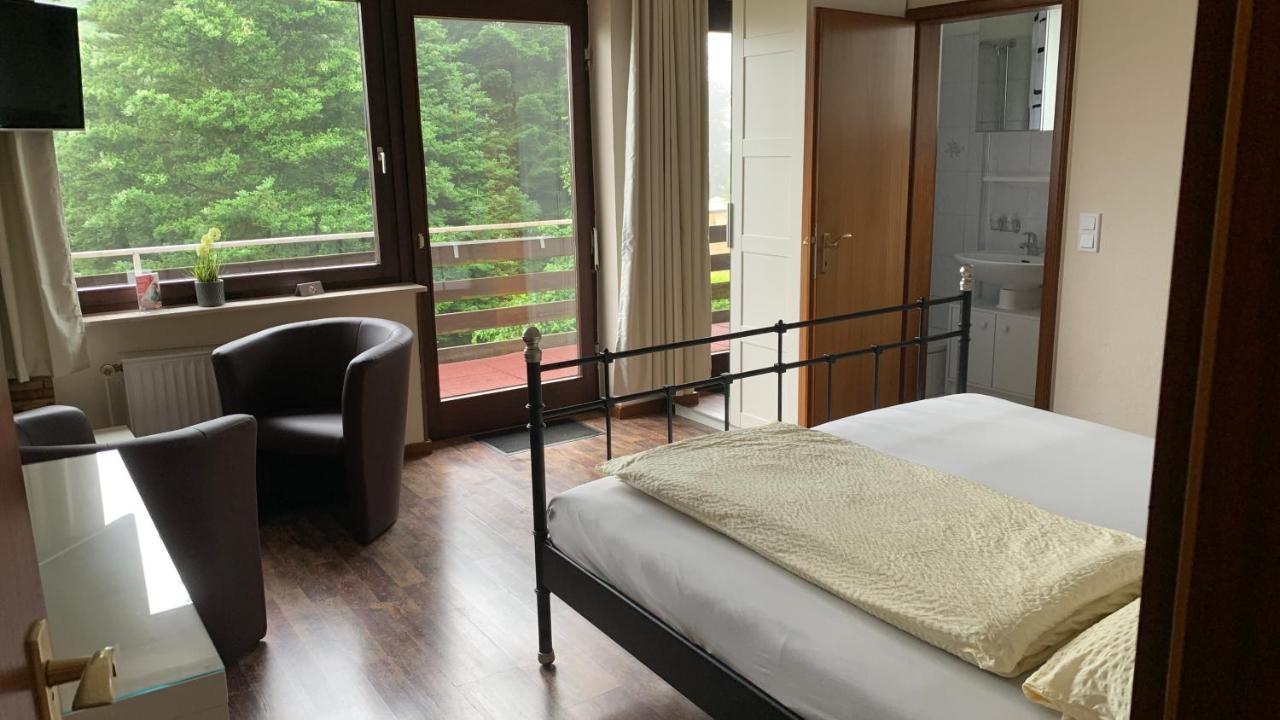 Pension Harzkieker Альтенау Екстер'єр фото
